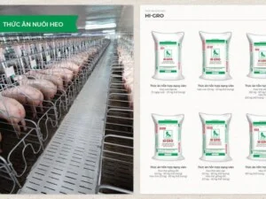 Chi Nhánh Đại Lý Thức Ăn Thủy Sản Chăn Nuôi CP Anh Nghĩa Quảng Nam