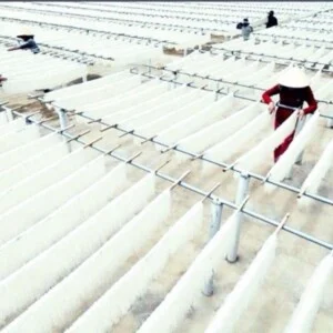 Thực Phẩm Đạt Linh Hương – Công Ty TNHH Đầu Tư Phát Triển Thương Mại Và Dịch Vụ Đạt Linh Hương