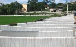 Thực Phẩm Đạt Linh Hương – Công Ty TNHH Đầu Tư Phát Triển Thương Mại Và Dịch Vụ Đạt Linh Hương