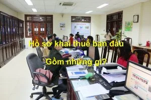 Kế Toán Kiểm Toán Ngọc Bảo – Công Ty TNHH Đại Lý Thuế Ngọc Bảo