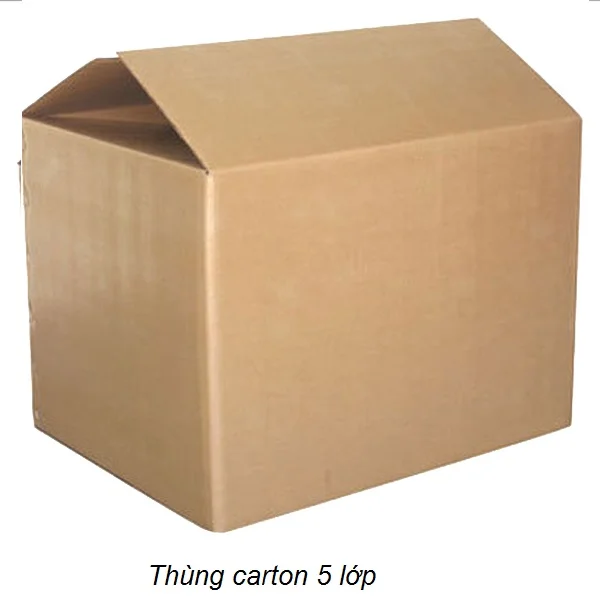 Thùng Carton Kiến Vàng – Công Ty Cổ Phần Đầu Tư Xây Dựng Thương Mại Vận Chuyển Kiến Vàng