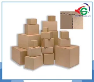 Chi Nhánh Bến Tre – Công Ty TNHH Việt Sài Gòn