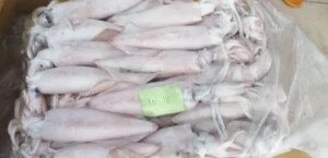 Công Ty TNHH Xuất Nhập Khẩu Thủy Sản Hải Dương