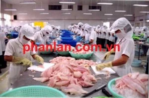 Công Ty TNHH Công Nghệ Xử Lý Nước Và Môi Trường Phần Lan