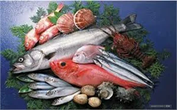 Thực Phẩm Phương Mai – Công Ty Môi Trường Công Nghiệp Phương Mai – (TNHH)