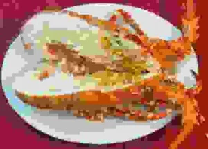 Chi Nhánh Công Ty Cổ Phần Vườn Phố – Vườn Phố Vũng Tàu