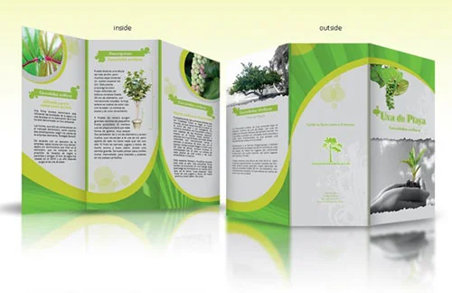 In Ấn Mộc Phương – Công Ty TNHH In Mộc Phương