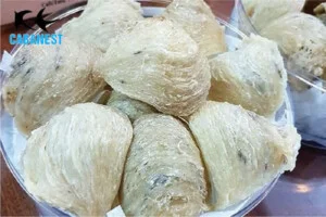 Yến Sào Cabanest