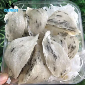 Yến Sào Cabanest