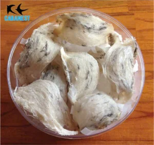 Yến Sào Cabanest