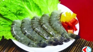 Công Ty CP Thủy Sản Cà Mau