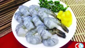 Công Ty CP Thủy Sản Cà Mau
