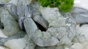 Công Ty CP Thủy Sản Cà Mau