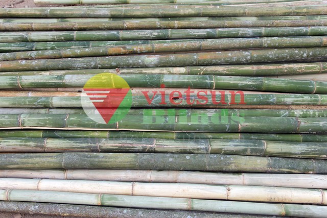 Việt Sun BamBoo – Công Ty TNHH Việt Sun Blinds