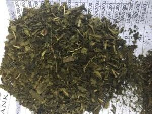 Cơ Sở Sản Xuất Chè Nguyên Hùng