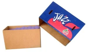Thùng Carton Phạm Thu – Công Ty TNHH Sản Xuất Thương Mại Phạm Thu