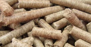 Công Ty CP Trấu Viên Hiền Lương