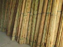 Cao Bằng Bamboo – Công Ty CP Xây Dựng Và Chế Biến Trúc Tre Xuất Khẩu Cao Bằng