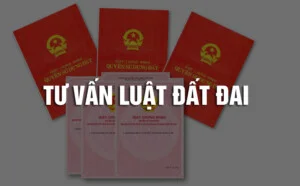 Văn Phòng Luật Sư IAM – Công Ty Luật Trách Nhiệm Hữu Hạn IAM