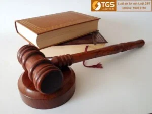 TGS LawFirm – Công Ty TNHH Luật TGS