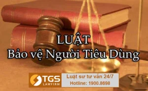 TGS LawFirm – Công Ty TNHH Luật TGS