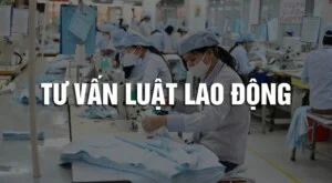 Văn Phòng Luật Sư IAM – Công Ty Luật Trách Nhiệm Hữu Hạn IAM