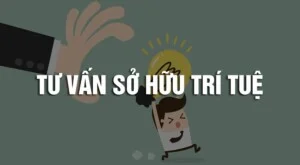 Văn Phòng Luật Sư IAM – Công Ty Luật Trách Nhiệm Hữu Hạn IAM