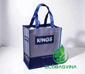 Túi Ecobag Vina – Công Ty Cổ Phần Ecobag Vina