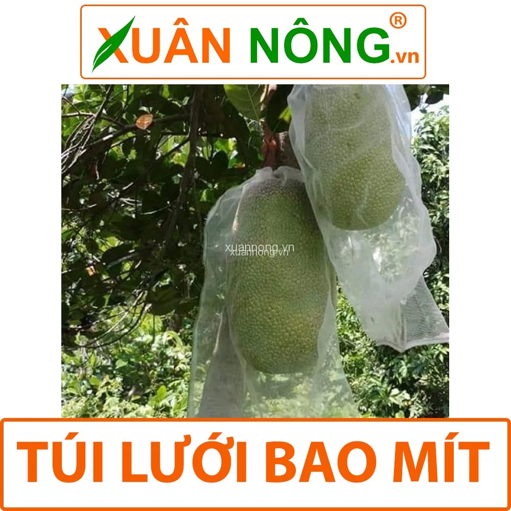 Công Ty TNHH Đầu Tư Và Phát Triển Nông Nghiệp Xuân Nông