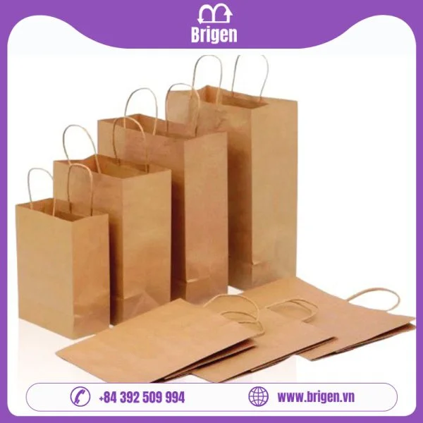 Xuất Nhập Khẩu Brigen – Công Ty TNHH Brigen