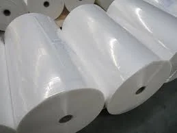 Bao Bì Nhựa Thiện Nhân – Công Ty TNHH Sản Xuất Bao Bì Nhựa Thiện Nhân