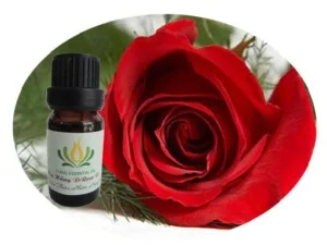 Môi Trường Hoàng Nguyên Dương – Công Ty Cổ Phần Hoàng Nguyên Dương