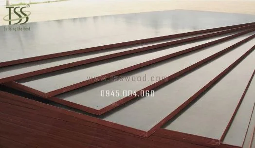 Gỗ Ván TSS – Công Ty Cổ Phần Gỗ Ván TSS