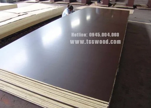 Gỗ Ván TSS – Công Ty Cổ Phần Gỗ Ván TSS
