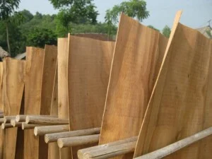 Gỗ Tín Đức Vinh – Công Ty Cổ Phần Tín Đức Vinh