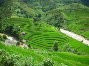 Vận Tải Hòa Phát – Công ty cổ phần Vận Tải Hòa Phát