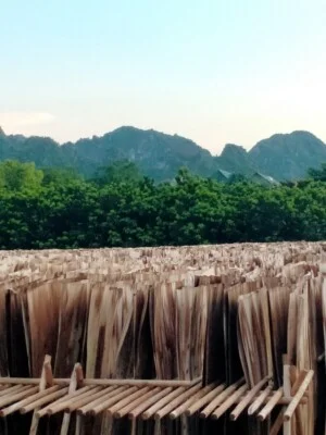 Doanh Nghiệp Tư Nhân Khai Thác Đá Vật Liệu Xây Dựng An Bình