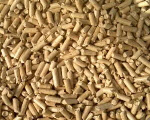 Công Ty Cổ Phần Ván Sài Gòn