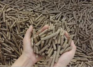 Công Ty TNHH Biomass Nam Anh