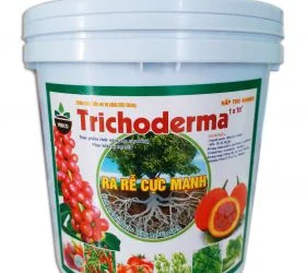 Phân Bón BIOMEKONG – Công Ty Cổ Phần Sinh Học Mê Kông