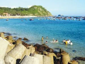 Công Ty TNHH Du Lịch Tây Sơn
