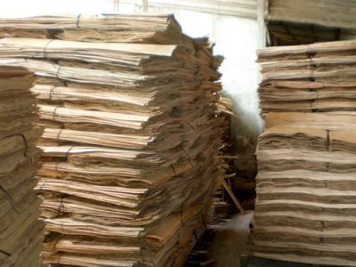Gỗ Trí Việt – Công Ty TNHH Chế Biến Gỗ Trí Việt