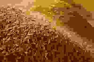 Công Ty CP Trấu Viên Hiền Lương