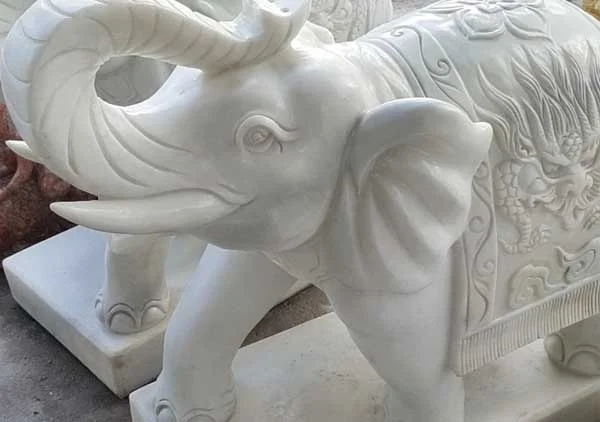 Công Ty TNHH Ngô Thời Đại