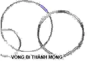 Công Ty TNHH Xuất Nhập Khẩu TST