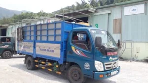 Vận Tải Kim Đại Phúc – Công Ty TNHH MTV Vận Tải Kim Đại Phúc