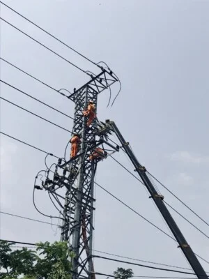 Công Ty Cổ Phần Xây Lắp Điện Quảng Nam