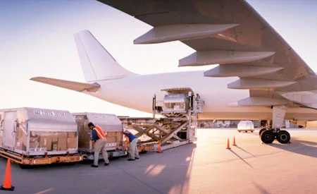 Công Ty Trách Nhiệm Hữu Hạn T.N.G