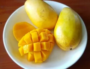 Dalat Natural Foods – Công Ty Cổ Phần Chế Biến Thực Phẩm Đà Lạt Tự Nhiên