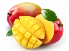 Nông Sản Galaxy Agro – Công Ty TNHH Galaxy Agro